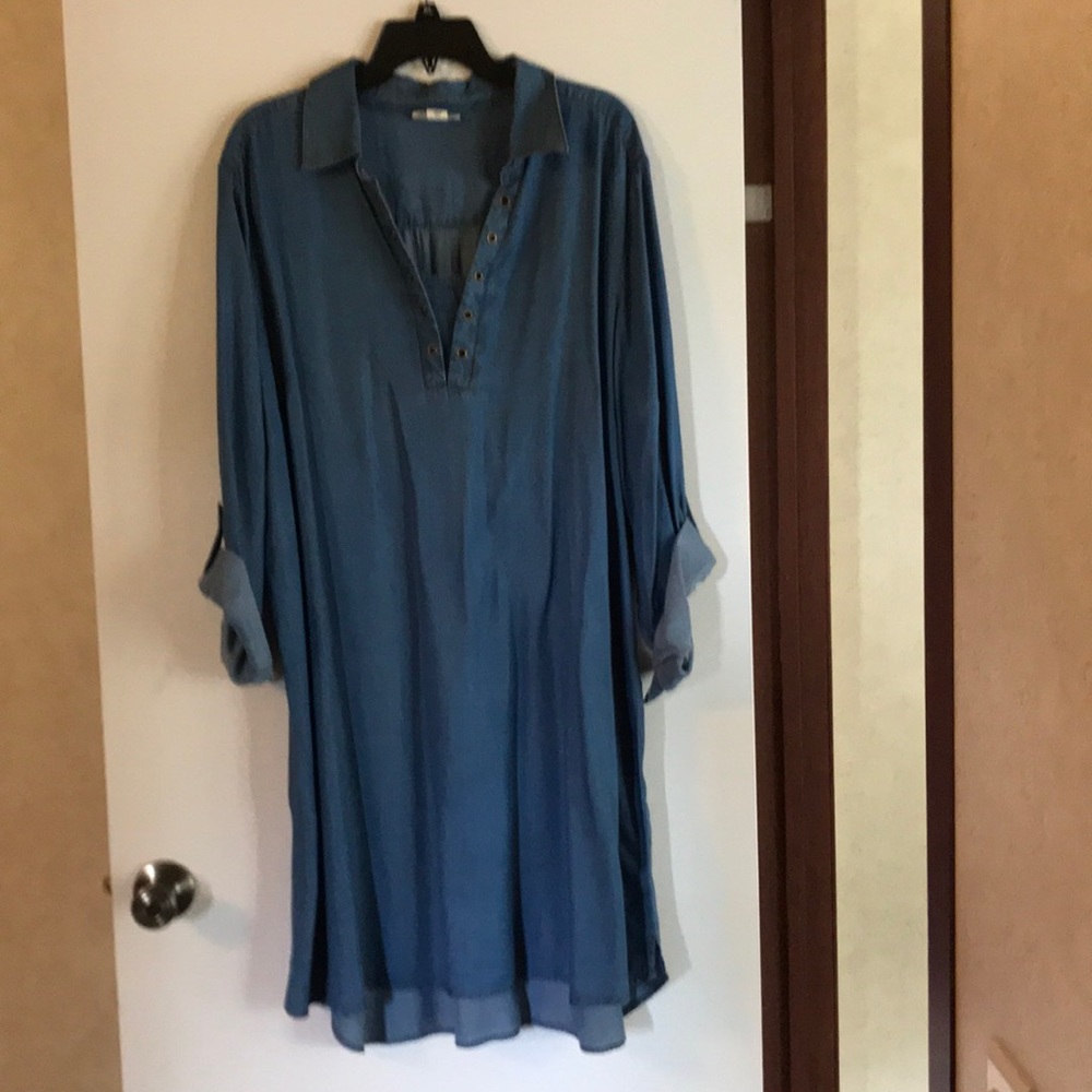 Style & co denim dress (Macy’s)